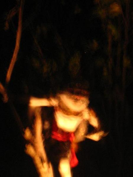 暗くてごめんなさい。木登りハヌマンです