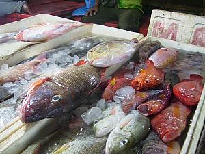 南国らしいカラフルな魚から大物までいろいろな魚が並ぶ市場