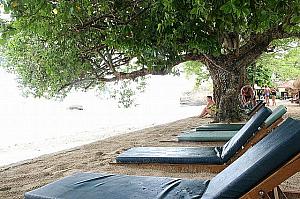 これぞビーチ・ホリデイ！バリ子のバリハイ・ビーチ・クラブ・クルーズ体験レポート！ クルーズ ビーチ ハイ・タイド・ハット アクティビティレンボンガン島