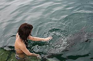 バリ子妹ローラのバリ島わがまま旅行、その１～ドルフィン・ロッジでイルカと遊びたい！ ドルフィン・ロッジイルカ