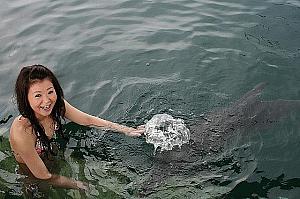 バリ子妹ローラのバリ島わがまま旅行、その１～ドルフィン・ロッジでイルカと遊びたい！ ドルフィン・ロッジイルカ