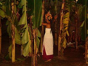 バナナ林の中で踊るルジャン