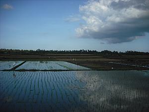 1月のバリ島 【2012年】