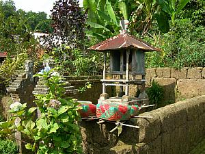 バリ島の伝統村を徹底分析！
