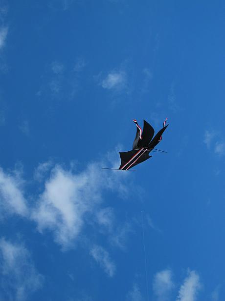 凧はあっという間に空高くへ。風にあたり、凧糸がビーーーーンと鳴るのが、この時期のバリの風物詩です。