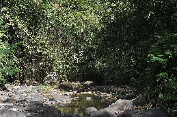 観光開発が進むバリ島ですが、まだまだ手付かずの自然や各地に残る伝統芸能はたくさん残っています。