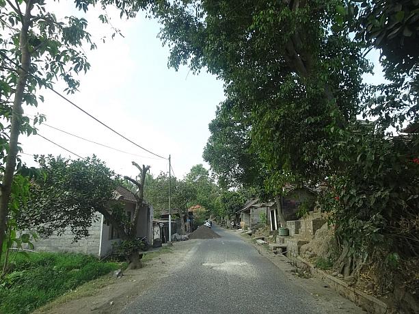 キンタマーニやテガラランの棚田からウブド方面へ行く際に、渋滞していると時々通る村がココカンという白鷺の村。と言ってもこれまで一度も見たことなかったんですが。