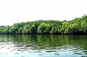 川の両脇にはマングローブが広がります。大小160以上もの島があるパンガー県。形異なる山々に囲まれてワイルド感満点です。
