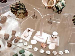 貝に関わりのあるアクセサリーも展示。大粒の真珠に思わずウットリ