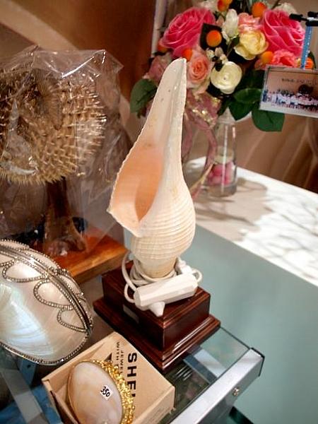 貝を使ったランプ。ちなみに奥のハリセンボンのランプは1200バーツ