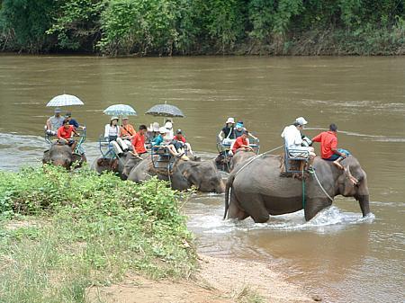 象に乗ったまま川へ突入