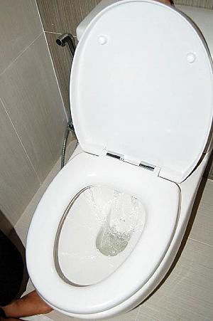 チェック３：トイレの排水。用を足した後、流れないようでは困ります。