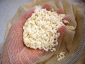 2. 水気を切ったもち米を布巾でふんわりと包み、水を入れた蒸し器で３０分程蒸す。
