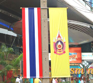 今年は、タイのプミポン国王陛下の特別な年 -スパーンワンチャート通り他