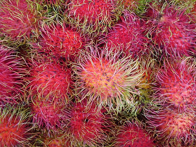 果物バンサ イ 旬の果物 マンゴスチン ドゥリアン ランブータン バンコクナビ