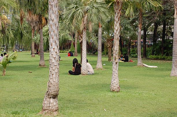 日がある昼間でも公園で昼寝をしたり、読書をしたりする人がいますが、少し涼しい日にはさらに人が増えます。