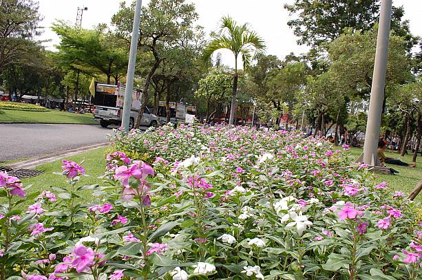 バンコクの繁華街では人や車が多いのですが、公園内は比較的静かなためリラックスしたい方におすすめです。