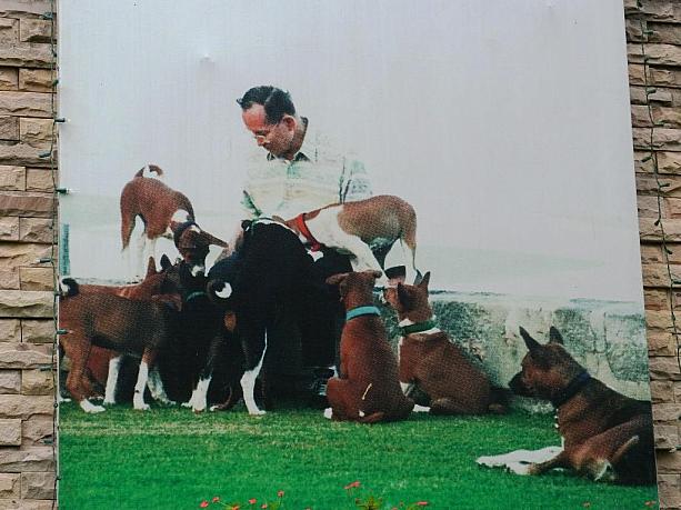 犬好きのタイの王様、プミポン国王が飼い犬と一緒の写真も飾ってあります。
