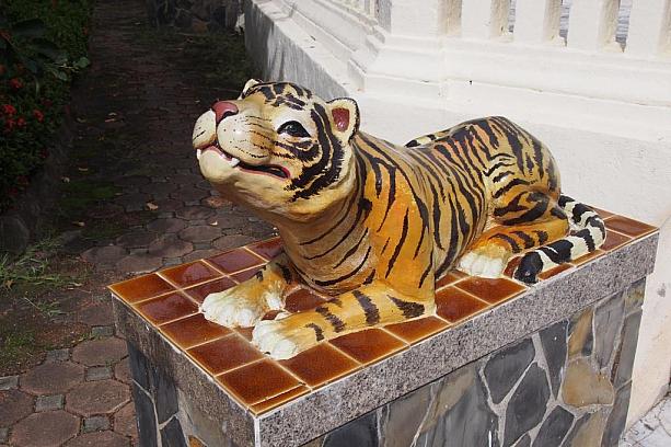 お寺には、動物のモニュメントもたくさんあります。これは虎でしょうか。なんだか可愛い。