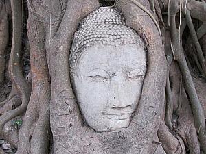 タイの世界遺産～遺跡に見るタイの歴史 世界遺産 スコータイ遺跡 アユタヤ シーサッチャナライ 寺院遺跡