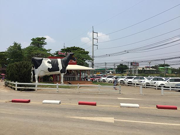 バンコクとカオヤイの間を車で走っていると、巨大な牛のオブジェを発見。