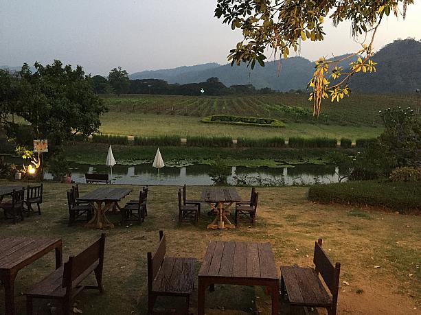 世界的にも注目されているタイ産ワイン。タイの２大ワイナリーのひとつ、カオヤイにあるPB Valleyにやって来ました！