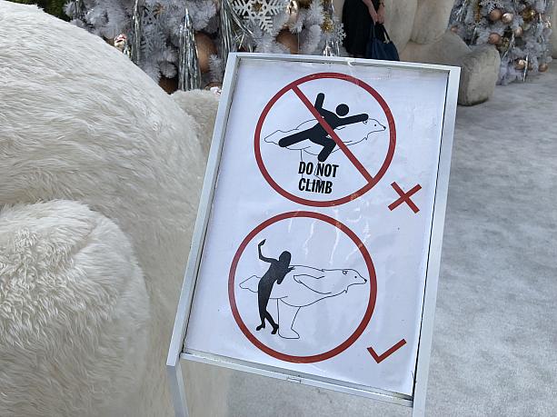 アイススケート中のクマの上には乗ってはいけません。