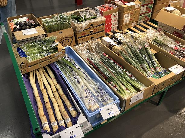 日本産の野菜も色々な種類が売られています。なんと、うどまで！