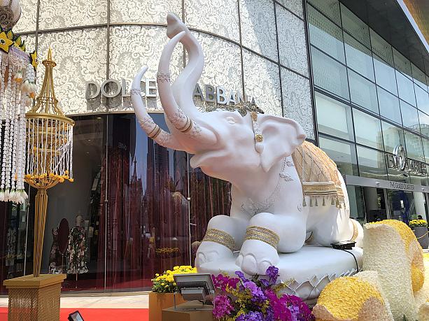 タイでは、白い象は国王の乗り物とされています。