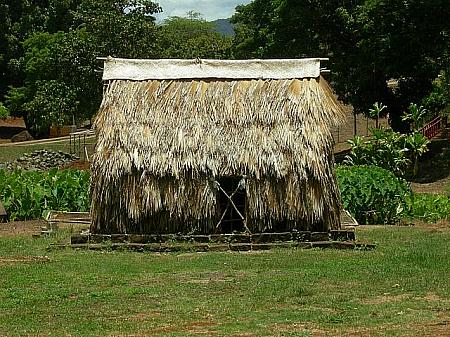 ハワイ原住民の家