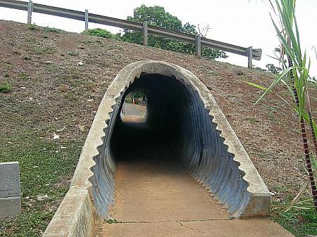 なぜか有名なトンネル
