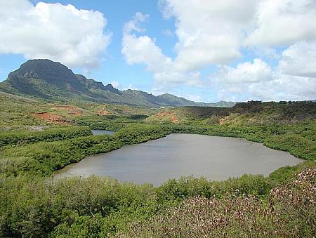メネフネ養魚池 Menehune Fish Pond。島中にメネフネ伝説が残ります。