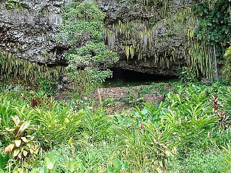 日本の芸能人も結婚式を挙げたシダの洞窟 Fern Grotto。