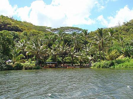 川岸に見えるのが、カモキラ・ハワイアン・ビレッジ Kamokila Hawaiian Village。