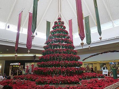 クリスマスは、ワイキキなどの観光地以外、ほとんどのショッピングモールや小売店、飲食店はお休み。