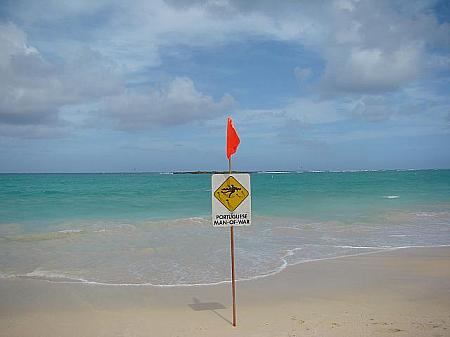水難事故の多いハワイ。海の状態には気をつけて下さいね。