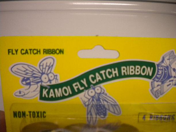 KAMOI FLY CATCH RIBBON!?