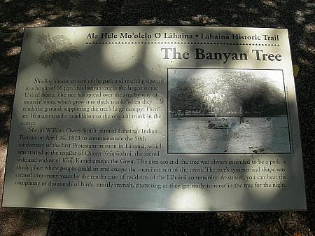 「アメリカで一番大きいバニヤンの木」のサイン