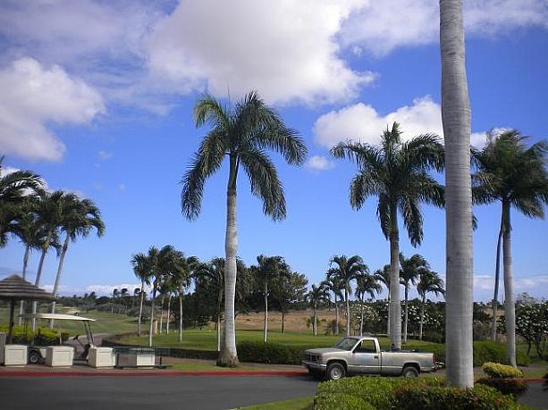 ゴルフ場やきれいなラグーンがあり、静かなリゾート地として有名なコオリナです。