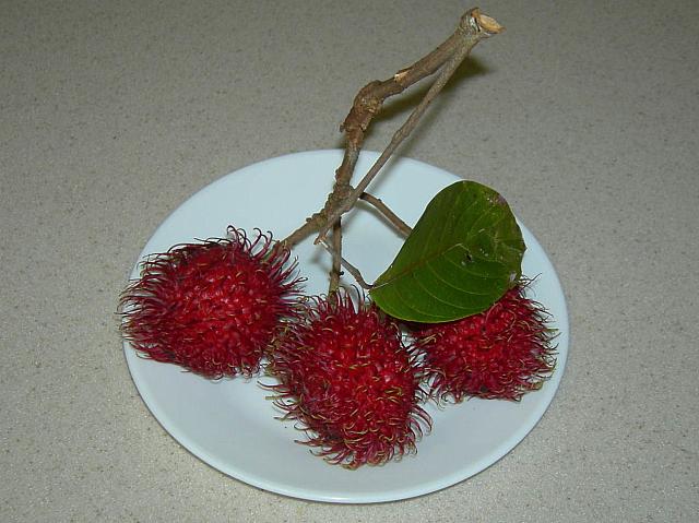 食べてみましょうハワイの南国フルーツ ハワイナビ
