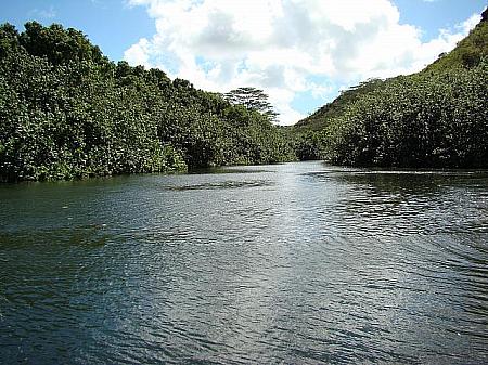 ワイルア川 Wailua River の上流。