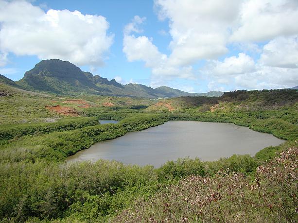 スピリチュアルやパワースポットに興味がなくても堪能できるハワイらしく美しい景色です。