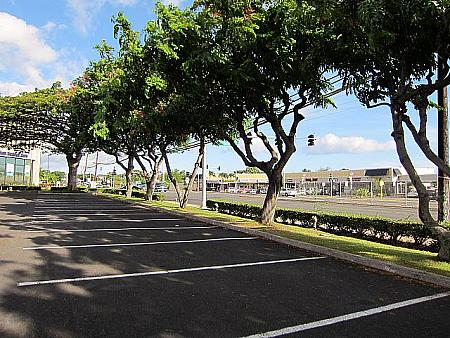 Kamehameha Hwy 沿いの降車したバス停付近へ戻ってみました。