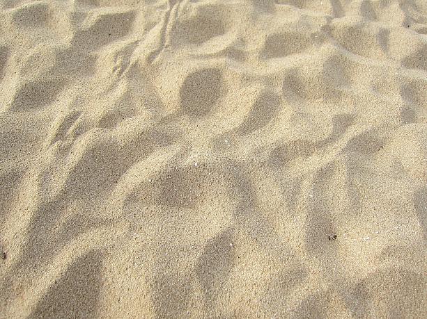 プカシェルが見つかるビーチと言われていますが・・・（「プカ」はハワイ語の“穴”。プカシェルは「穴の開いた貝殻」のこと）