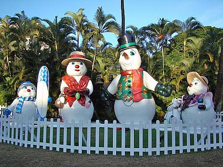 夏のクリスマスが味わえるハワイ。