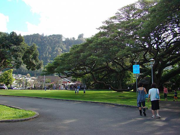 晴れた空に山と木々の緑がなんとも清々しい！ 前回に引き続き今回も「ナビの初詣 in ハワイ」！奥に見えるのはヌウアヌ渓谷にあるハワイ大神宮です。