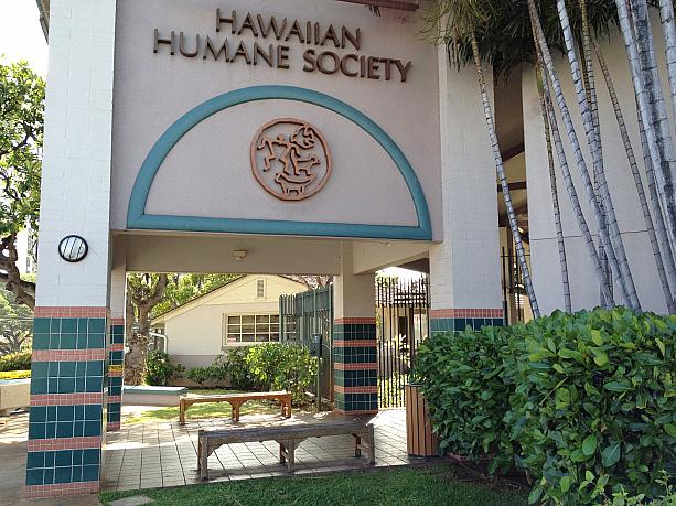 こちらはモイリイリ地区にあるハワイアン・ヒューメイン・ソサエティ。