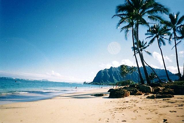女性のためのハワイ観光ガイド ハワイナビ