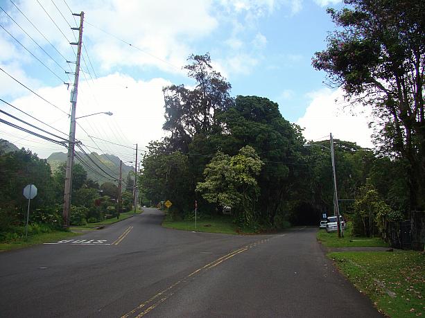 ところでこのY字路、見覚えがありますか？ ハワイを舞台とした2011年度のアメリカ映画で、主人公が、昏睡中の妻の浮気を知り、その真相を確かめに近所の友人夫妻の家まで走る…その途中の道路です。