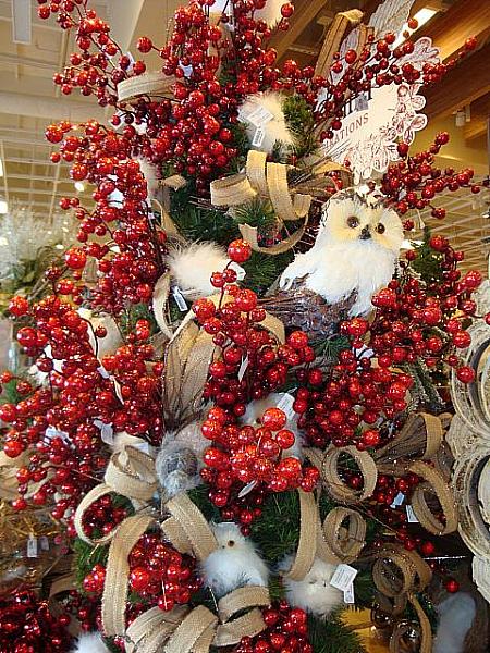 ユニークでかわいいクリスマス飾りも沢山見かけますよ〜！